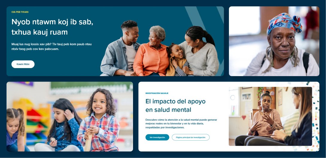 Wilder Inclusive Branding